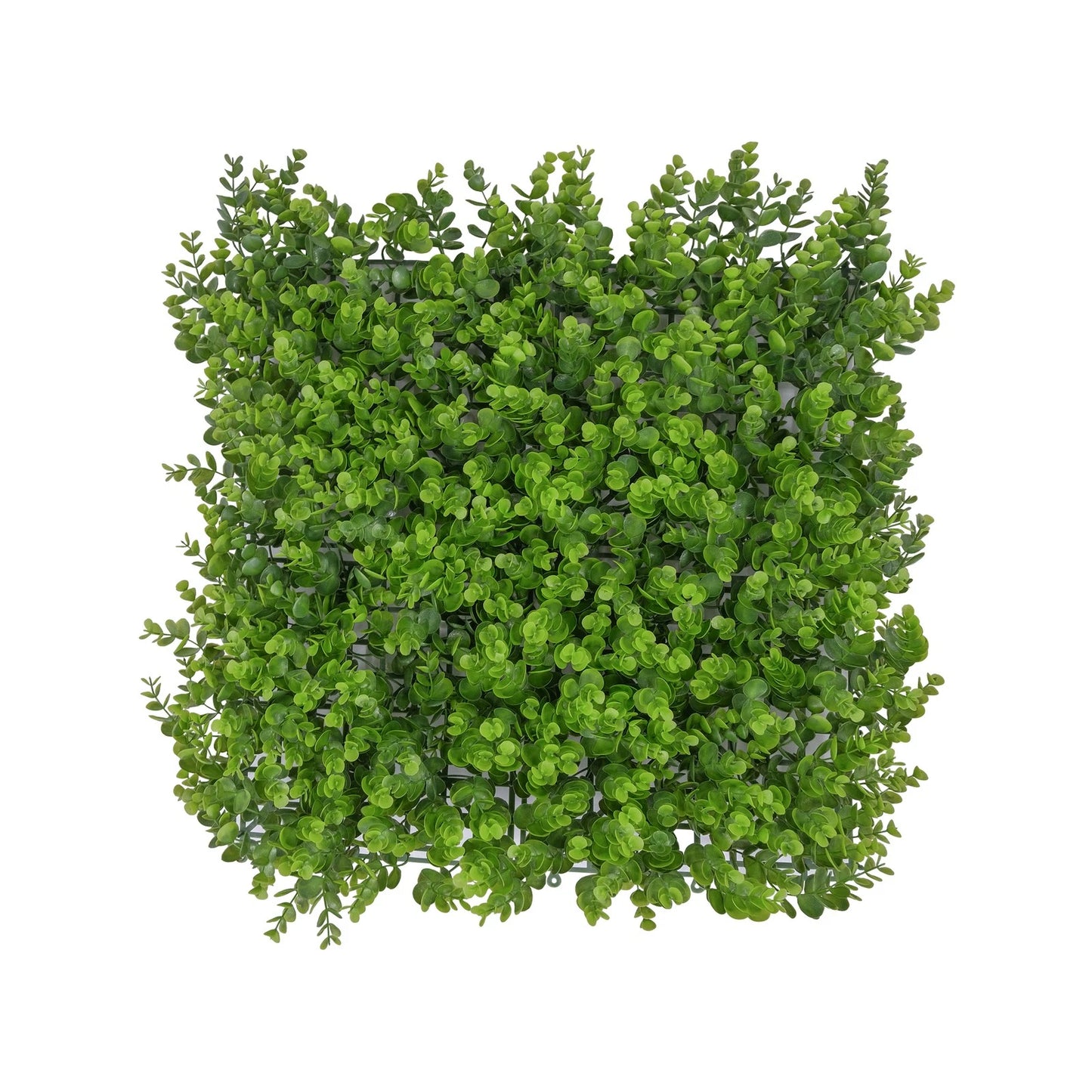 UN-REAL Artificial Hedge 50x50cm Baby Eucalyptus, UV-Treated, 5-Year Warranty, Indoor/Outdoor