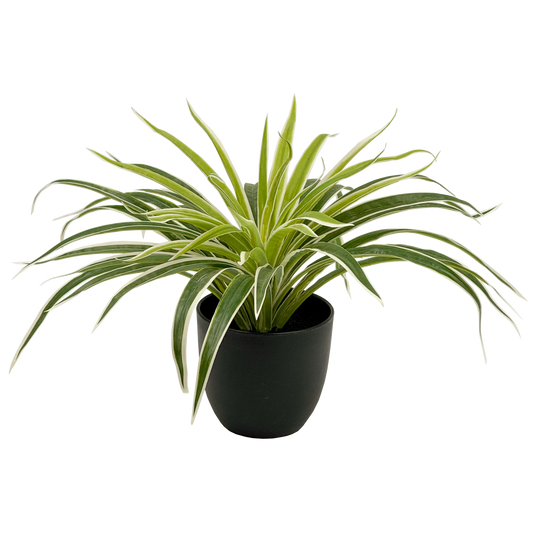 UN-REAL 30cm Artificial Spider Plant - Lifelike Indoor Decor, Maintenance-Free, Realistic Design