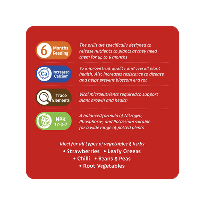 Scotts Osmocote 1kg Tomato Vegetable Herb Fertiliser, 6-Month Nutrient Release, Water Absorption