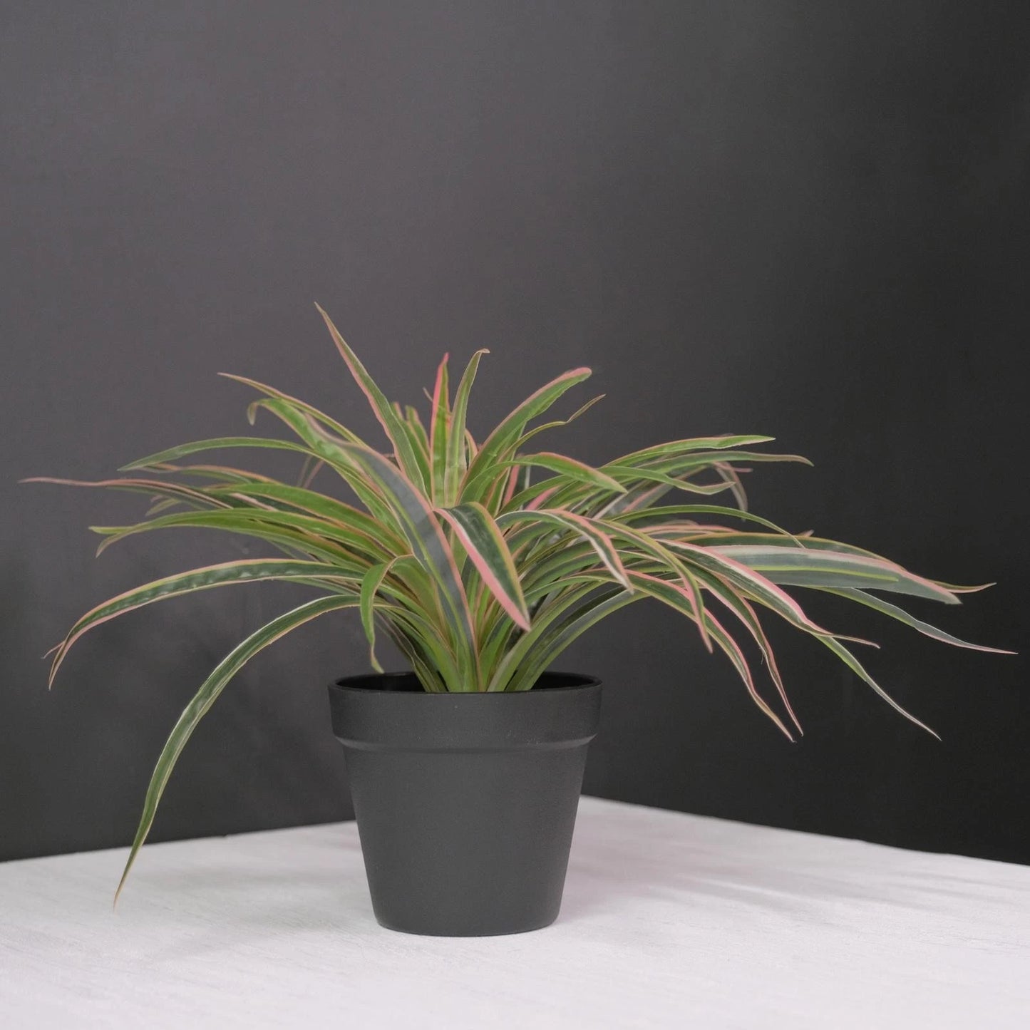 UN-REAL 30cm Pink Artificial Spider Plant - Vibrant Indoor Decor, Maintenance-Free