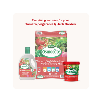 Scotts Osmocote 1kg Tomato Vegetable Herb Fertiliser, 6-Month Nutrient Release, Water Absorption