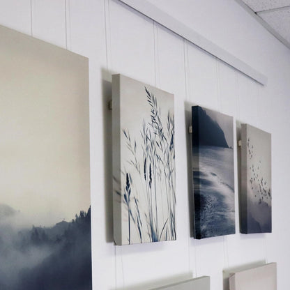 Gallery Home 8kg Adjustable Hook & Nylon Line - Versatile Picture Hanging Solution