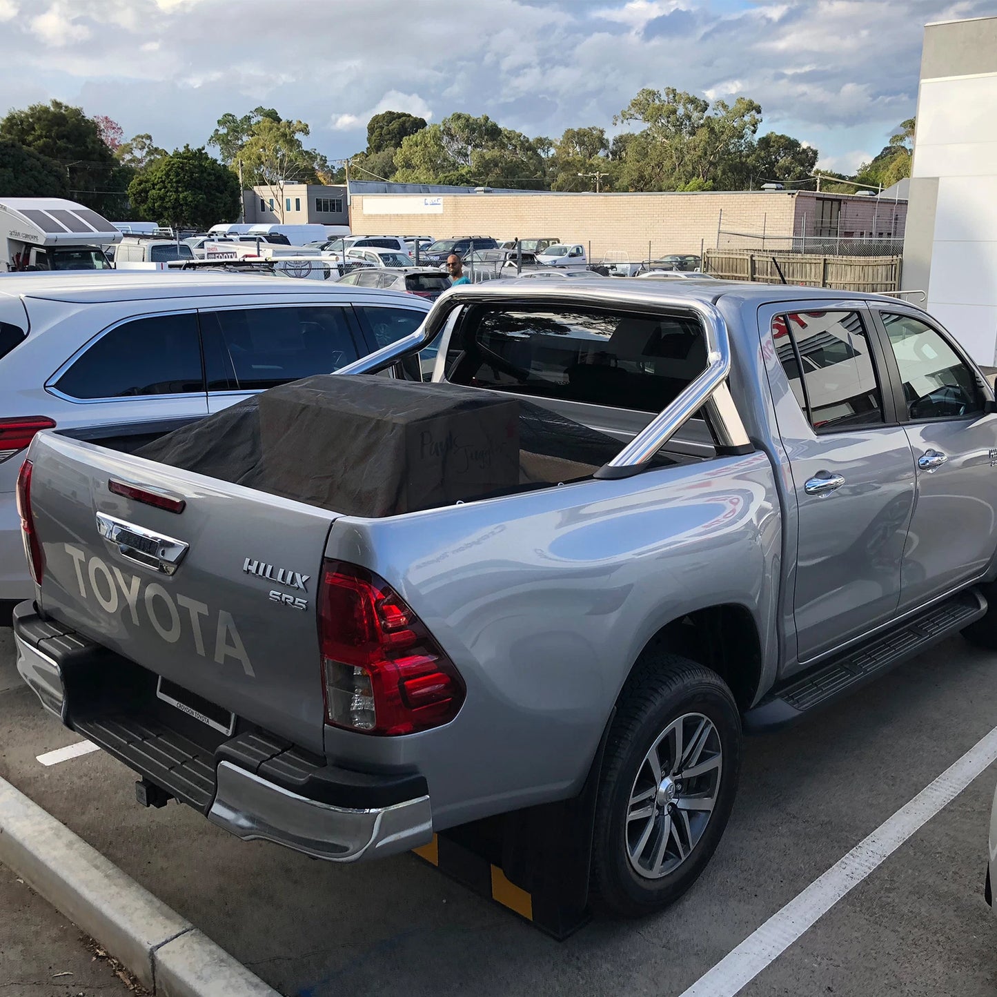 Lion Dual Cab Tub-Fit MeshTech Cargo Net, Adjustable Anti-Tangle Design, UV Protected