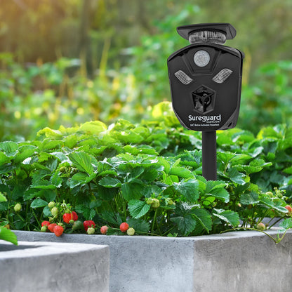 Sureguard Scarecrow Ultrasonic Animal Repellent, Solar-Powered, 360-Degree Coverage