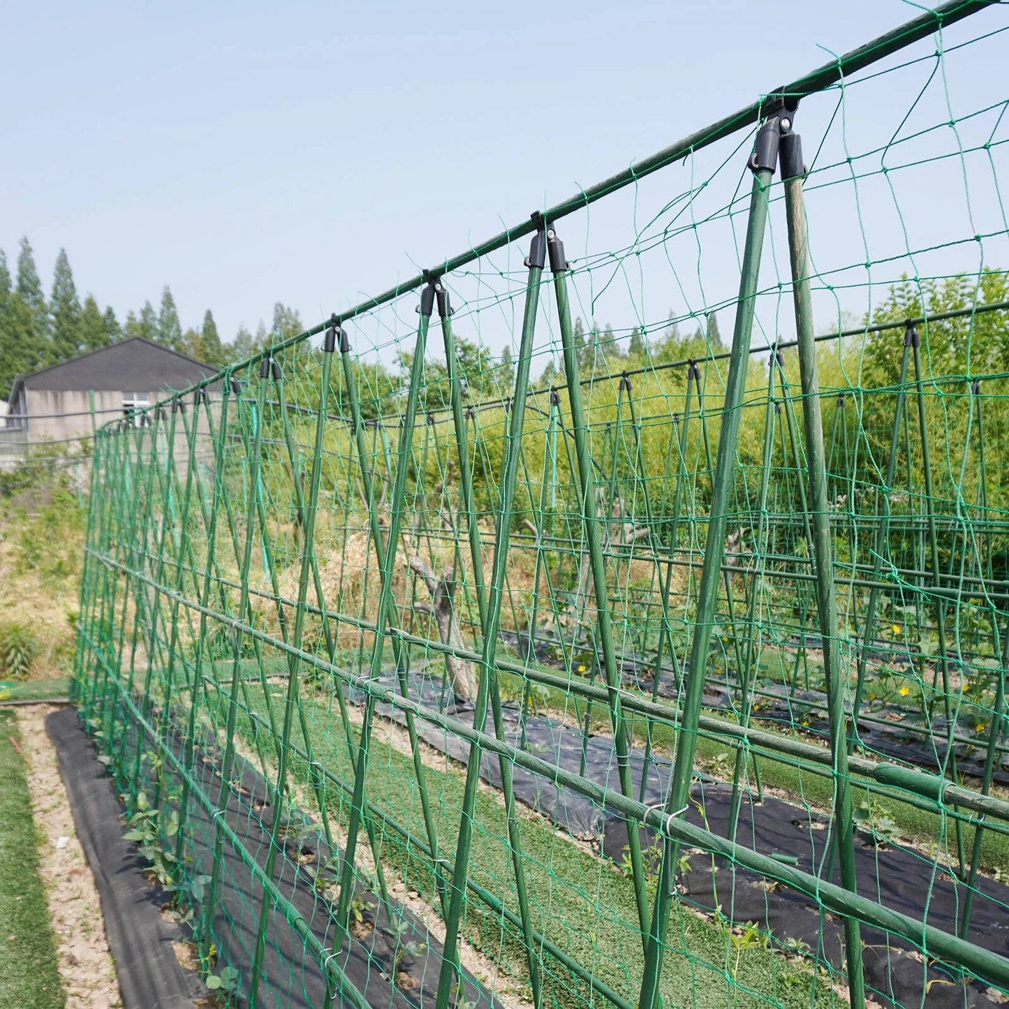 Jack Trellis Netting 1.8x2.7m for Climbing Plants, Easy Install, 150x150mm Grid