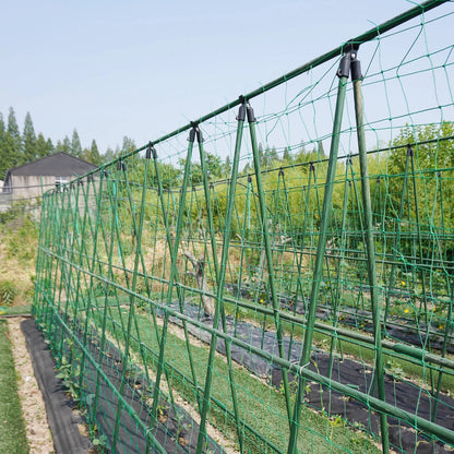 Jack Trellis Netting 1.8x2.7m for Climbing Plants, Easy Install, 150x150mm Grid