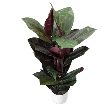 UN-REAL 67cm Artificial Burgundy Rubber Plant - Indoor, Low Maintenance, Realistic Foliage