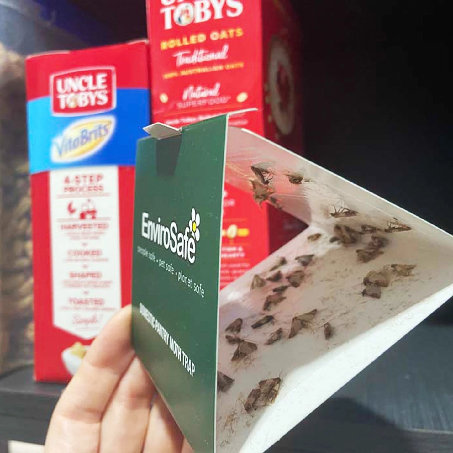 EnviroSafe Pantry Moth Trap 2 Pack - Safe, Effective, 3-Month Detection