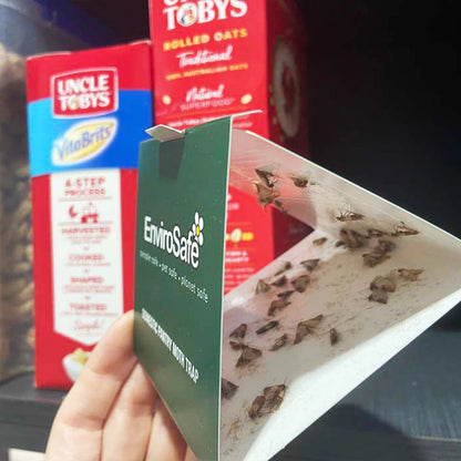 EnviroSafe Pantry Moth Trap 2 Pack - Safe, Effective, 3-Month Detection