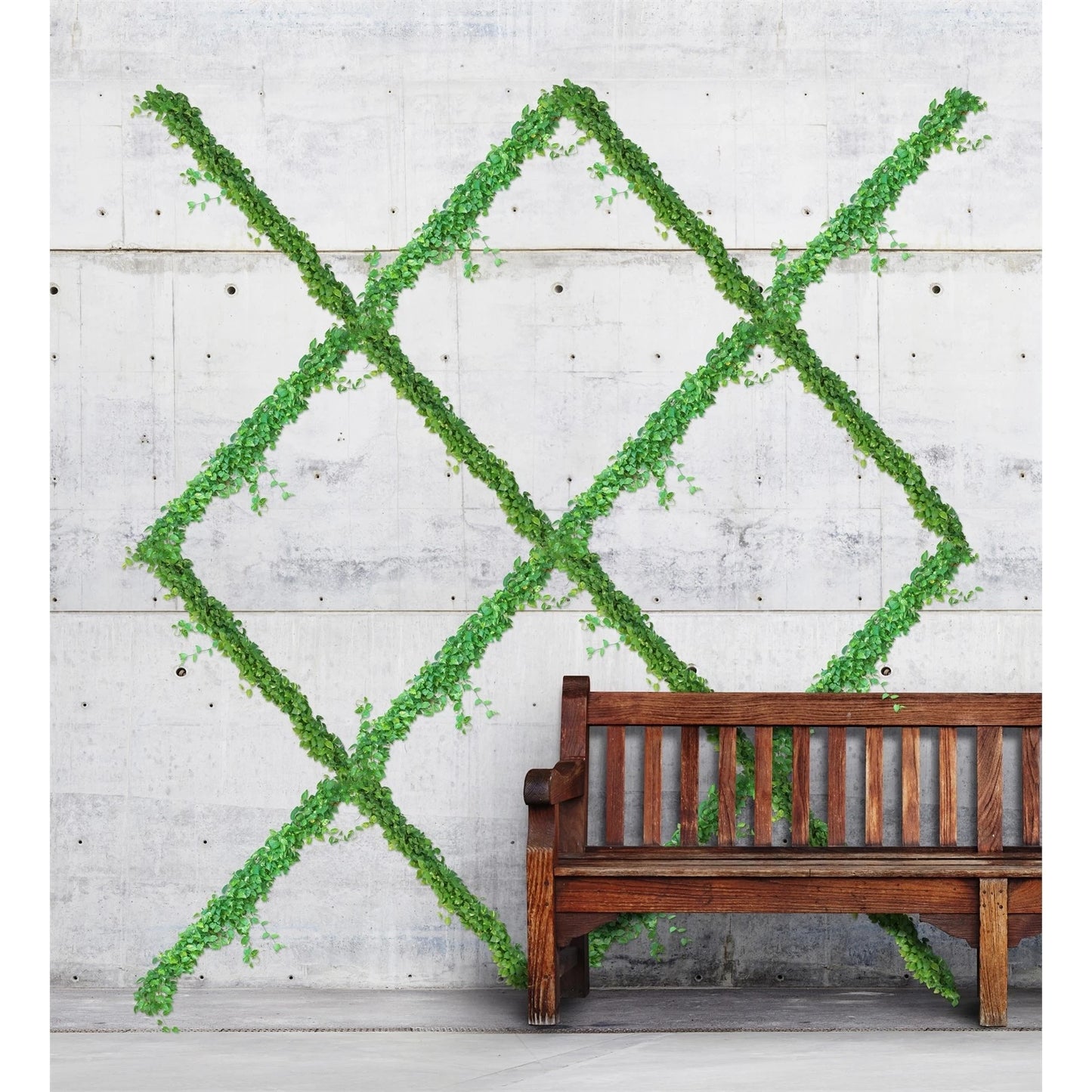 Jack 5m Grip And Grow Trellis Kit - Supports Climbing Plants, Easy Install, Custom Design