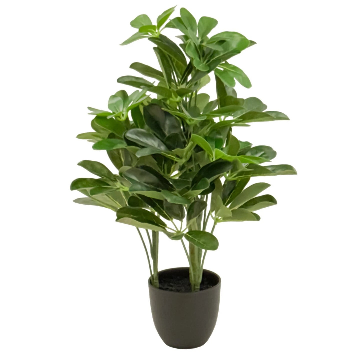 UN-REAL 52cm Artificial Umbrella Tree - Realistic, Maintenance-Free Indoor Decor