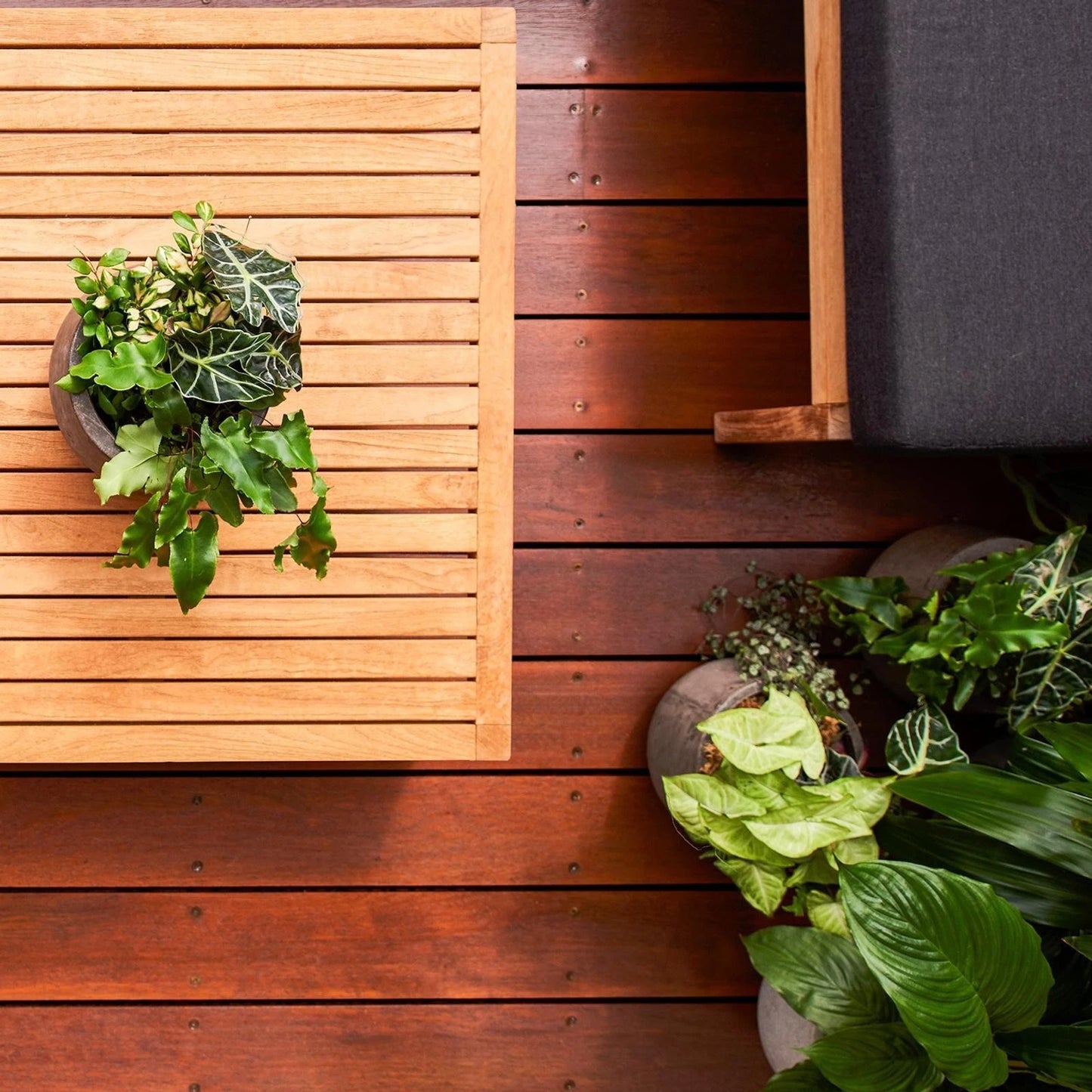 Cabot's 500ml Natural Garden Furniture Oil, Water-Based, UV Resistant, Trigger Pack