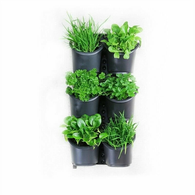 Holman Greenwall Slim Wall Mounted Kit - Expandable, Quick Assembly, Precise Watering