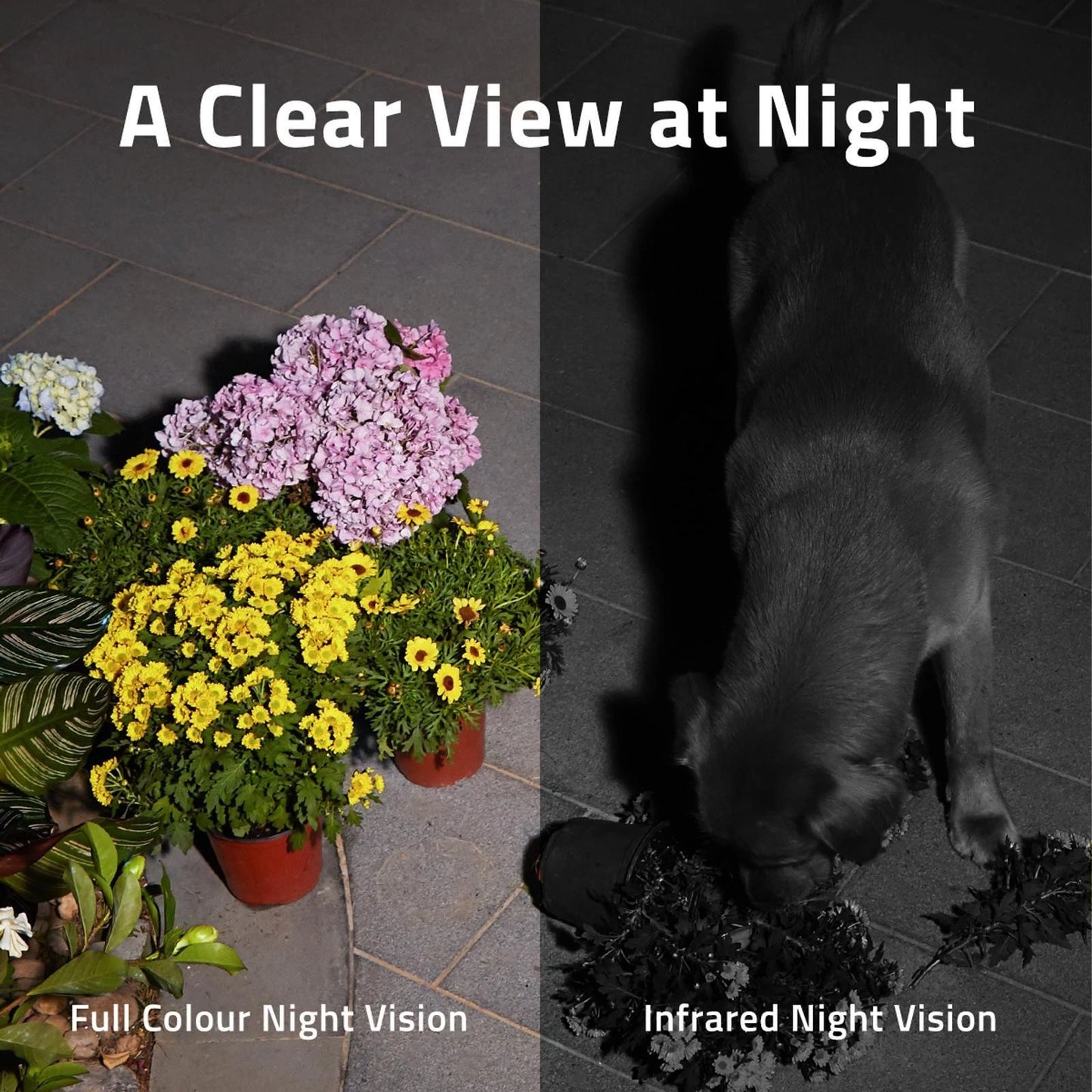 Eufy 2K Solar Security Spotlight Camera, Wireless, AI Detection, No Fees