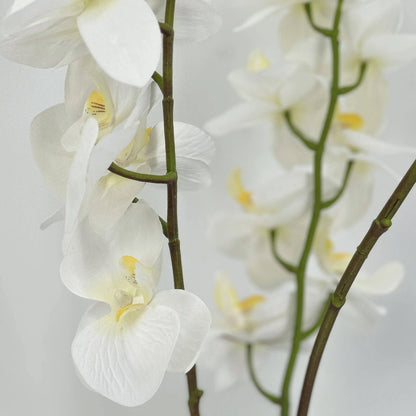 UN-REAL 65cm White Orchid Artificial Plant - Elegant, Maintenance-Free Decor