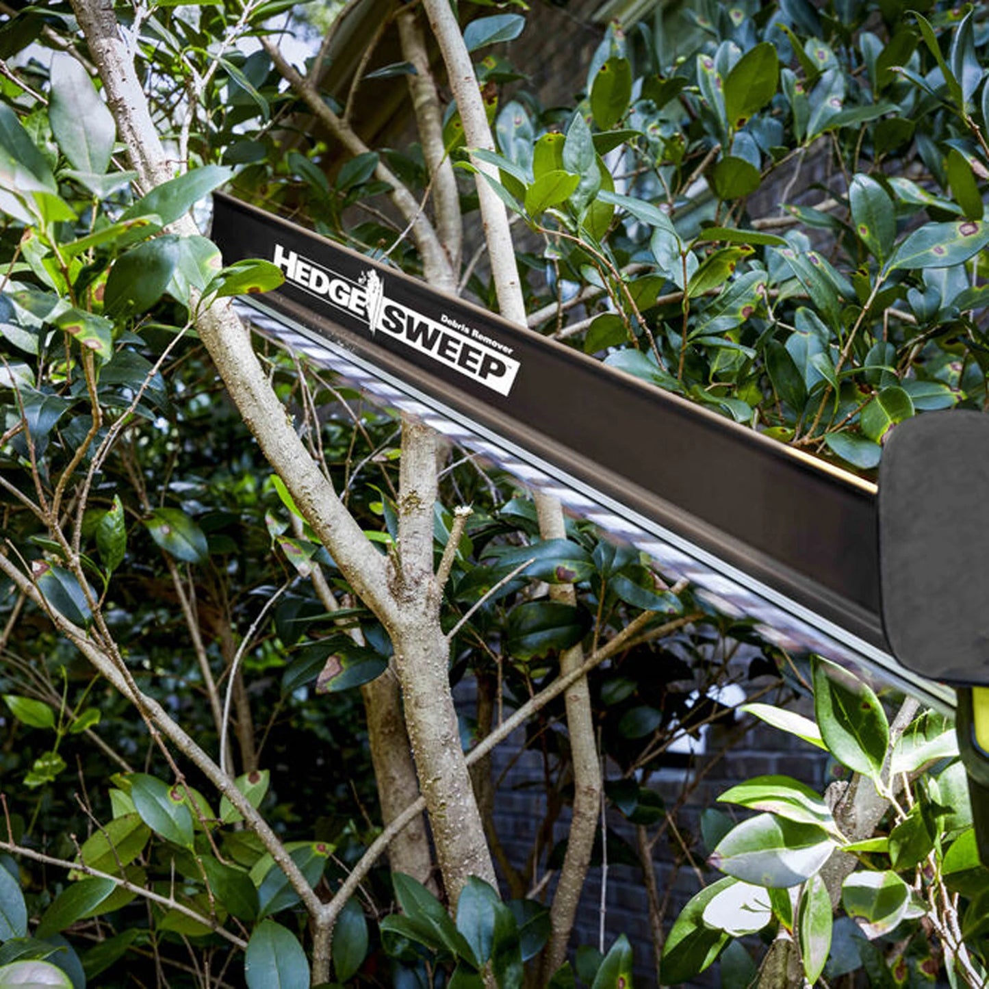 Ryobi 36V Brushless Cordless Hedge Trimmer 65cm, Anti-Jam, Dual-Action Blades