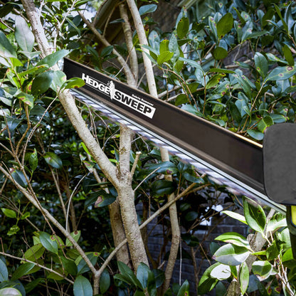 Ryobi 36V Brushless Cordless Hedge Trimmer 65cm, Anti-Jam, Dual-Action Blades