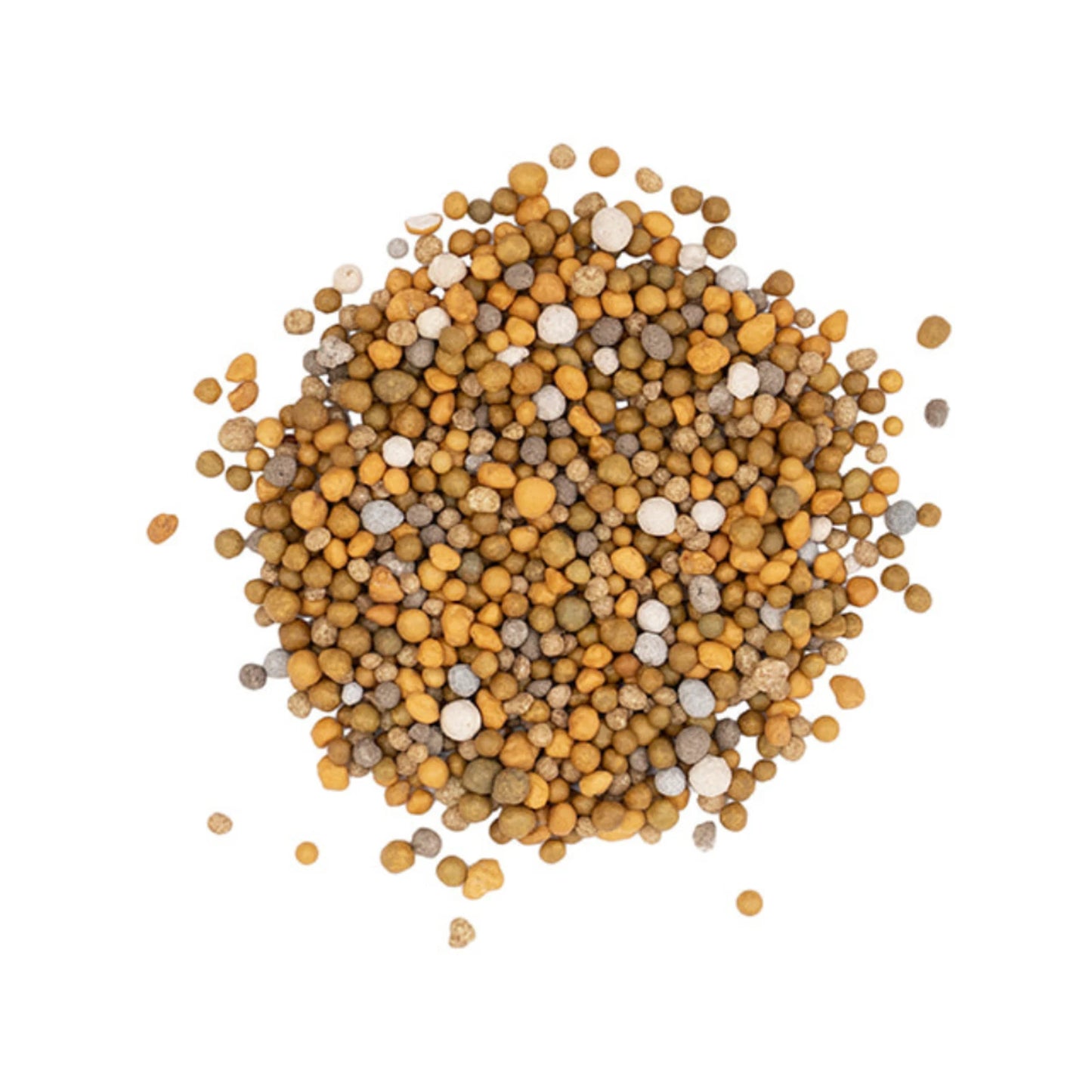 Scotts Osmocote 1kg Tomato Vegetable Herb Fertiliser, 6-Month Nutrient Release, Water Absorption