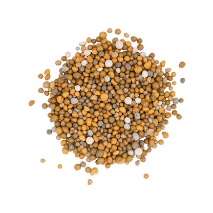 Scotts Osmocote 1kg Tomato Vegetable Herb Fertiliser, 6-Month Nutrient Release, Water Absorption