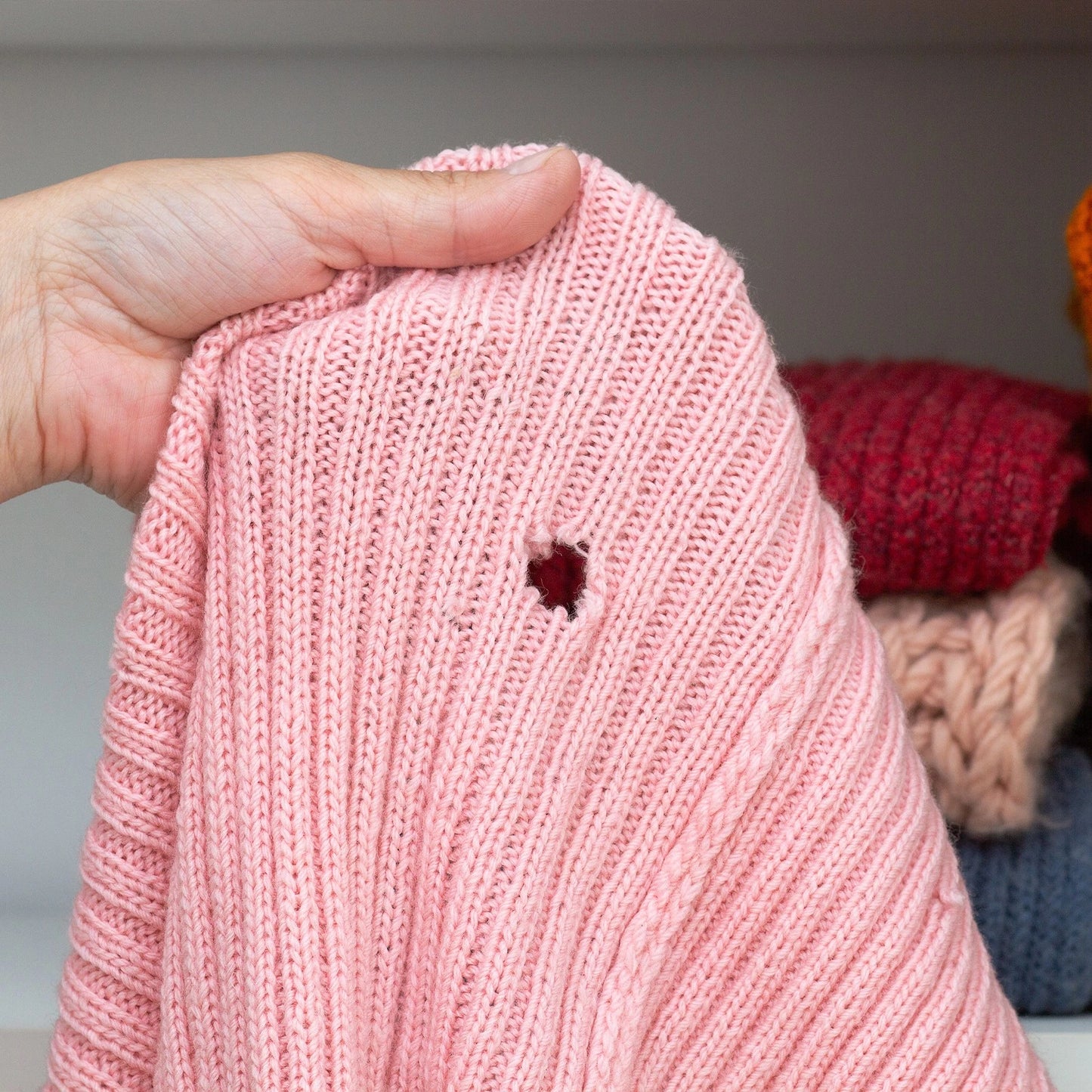 EnviroSafe Clothes Moth Trap 2 Pack - Eco-Friendly, Non-Toxic, Long-Lasting Detection