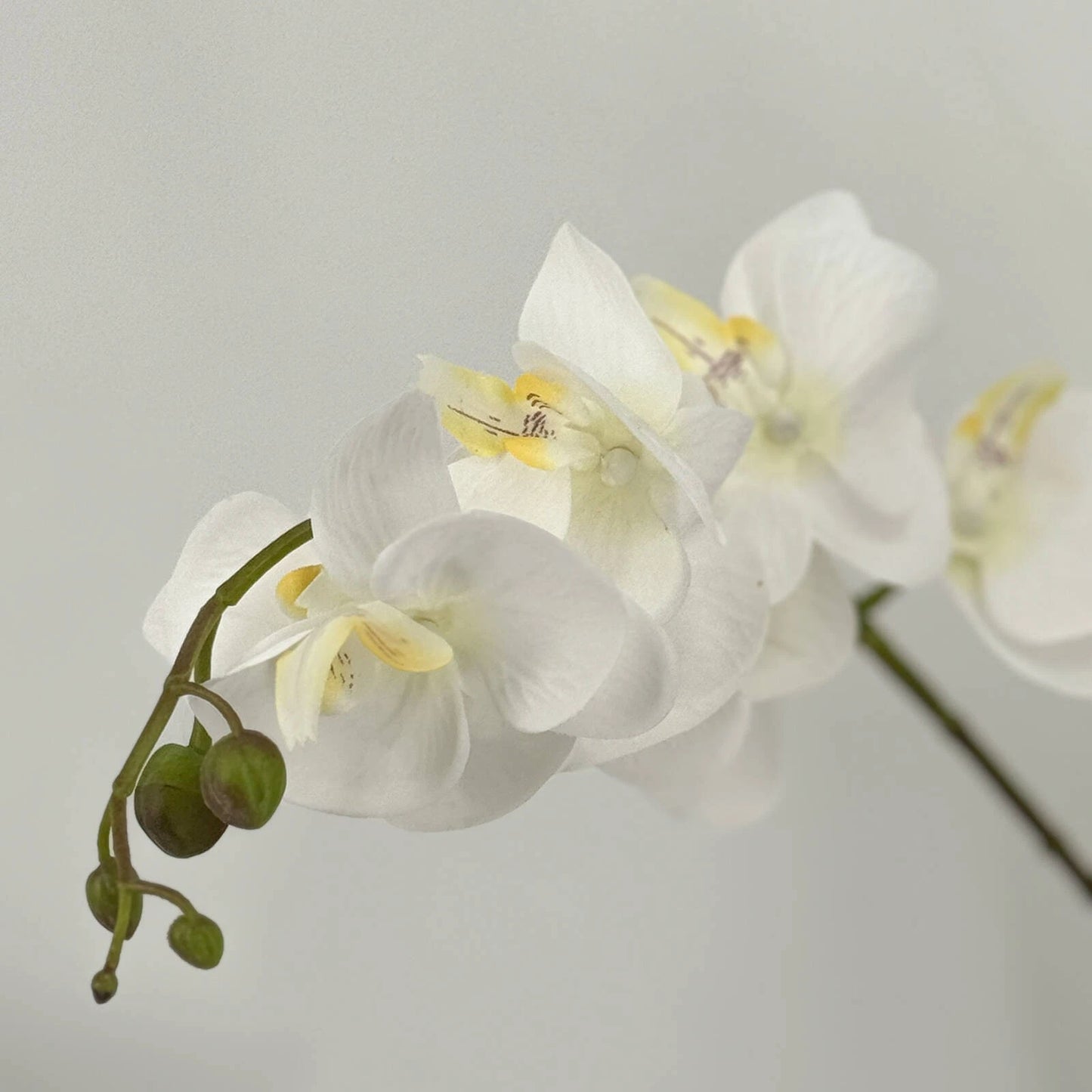 UN-REAL 65cm White Orchid Artificial Plant - Elegant, Maintenance-Free Decor