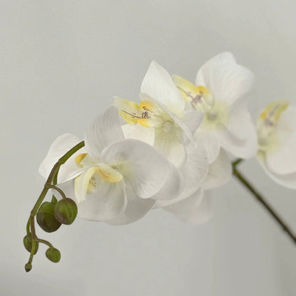 UN-REAL 65cm White Orchid Artificial Plant - Elegant, Maintenance-Free Decor