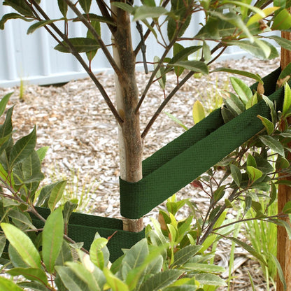 Jack Green Heavy Duty Tree Webbing Plant Ties, 45mm x 50m, UV Protected, Durable Support