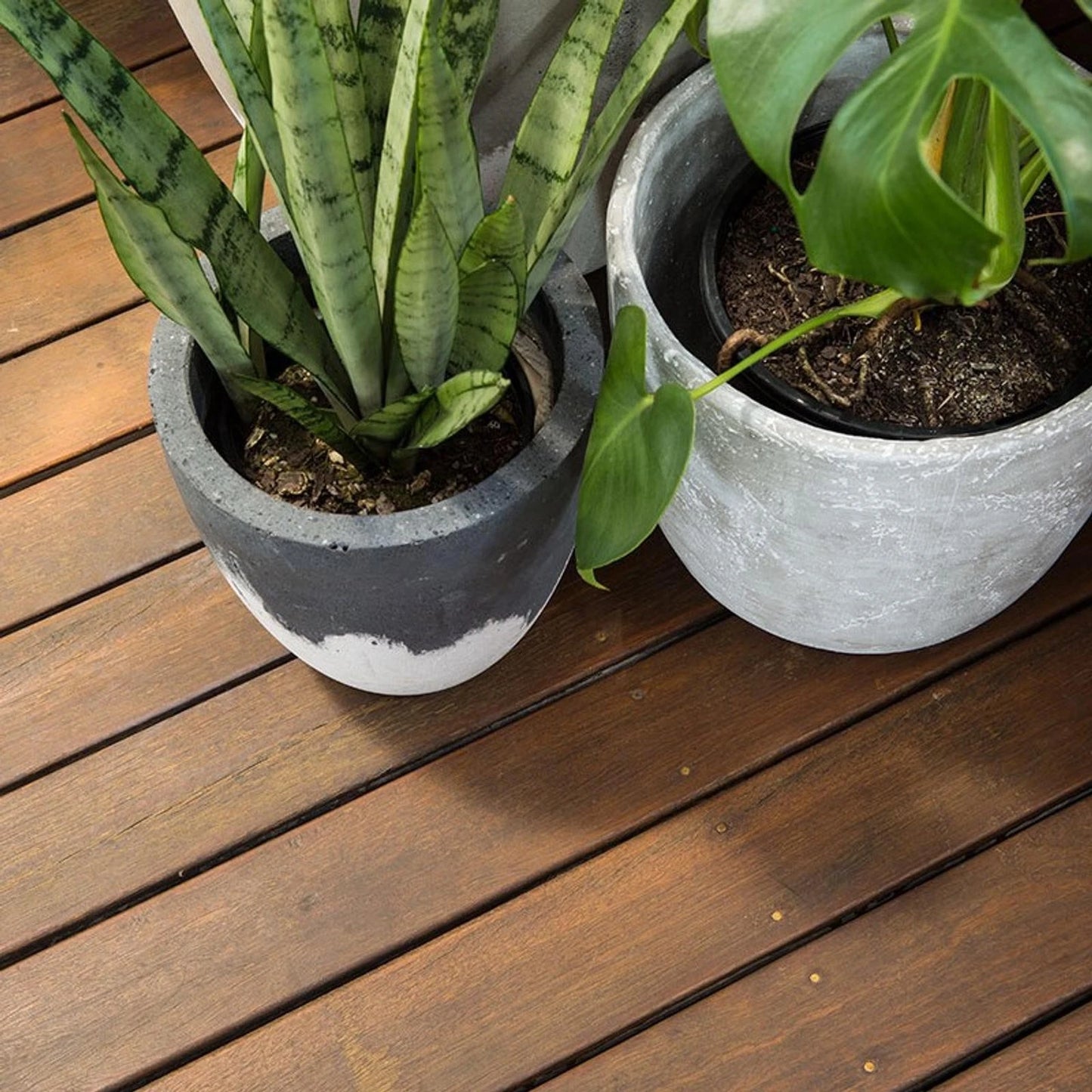 Feast Watson 1L Natural Matt Look Decking Oil - Water-Based, UV Resistant, Fast Drying