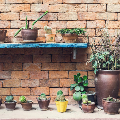 Carinya Heavy Duty 250x200mm Galvanised Angle Bracket 225kg Load Capacity