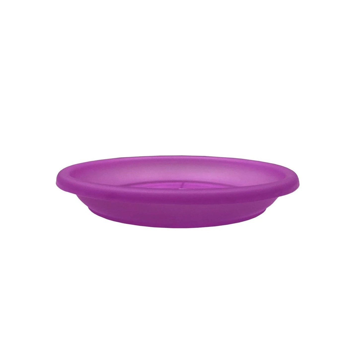 Eden 22cm Purple Transparent Plant Saucer - Lightweight, Leak Prevention, Stylish Design