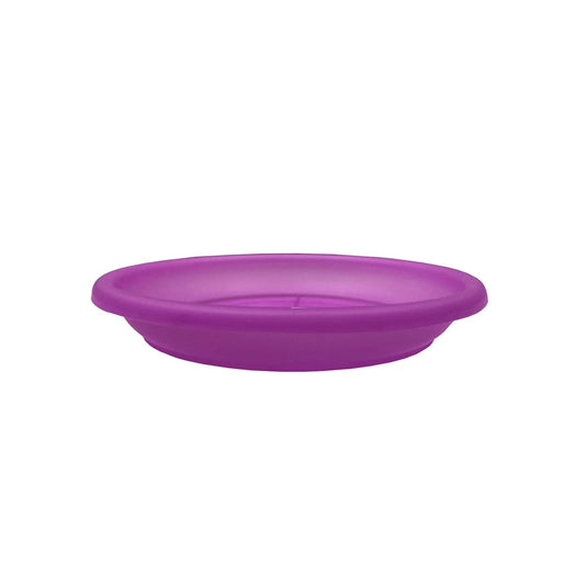 Eden 22cm Purple Transparent Plant Saucer - Lightweight, Leak Prevention, Stylish Design