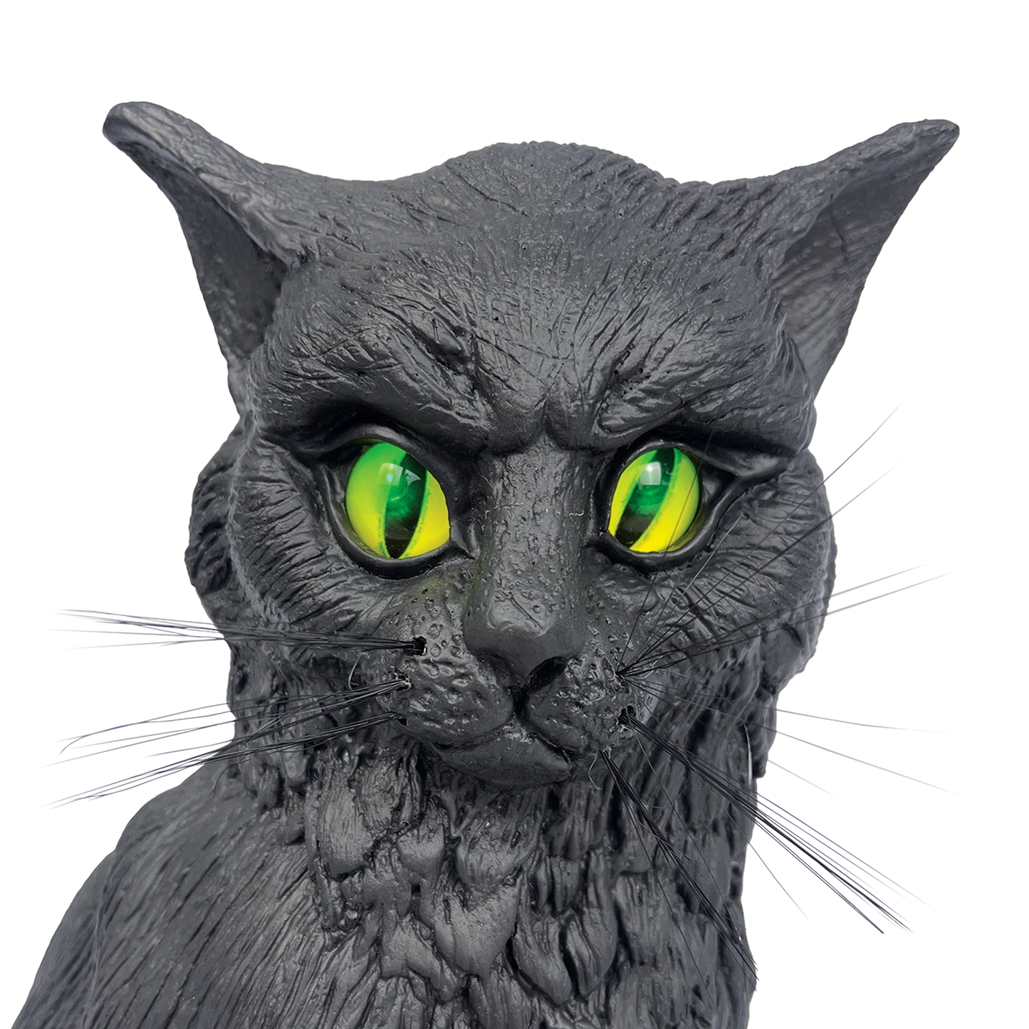 Galah Halloween Talking Black Cat 36cm with Light-Up Eyes & Sound Sensor