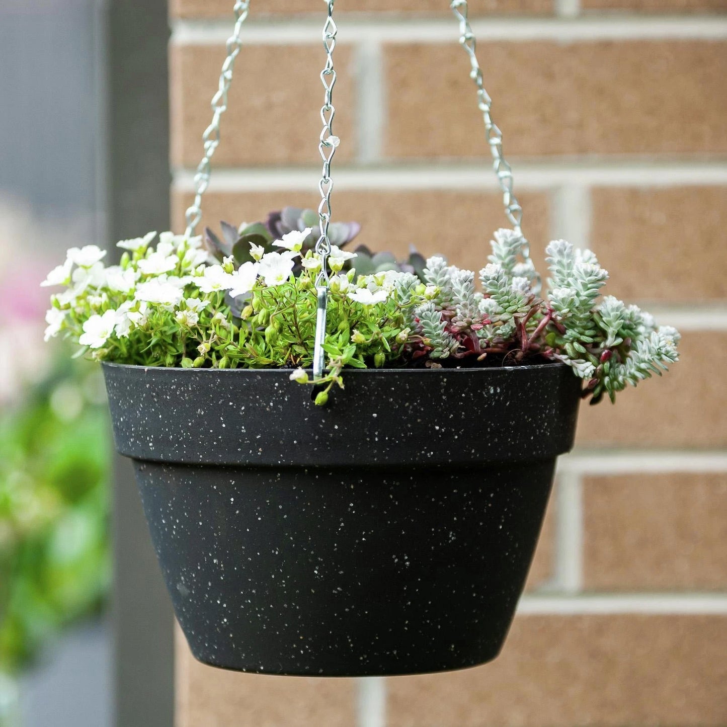 Northcote Pottery 32cm Black Terrazzo Self-Watering Hanging Basket, Durable & Eco-Friendly
