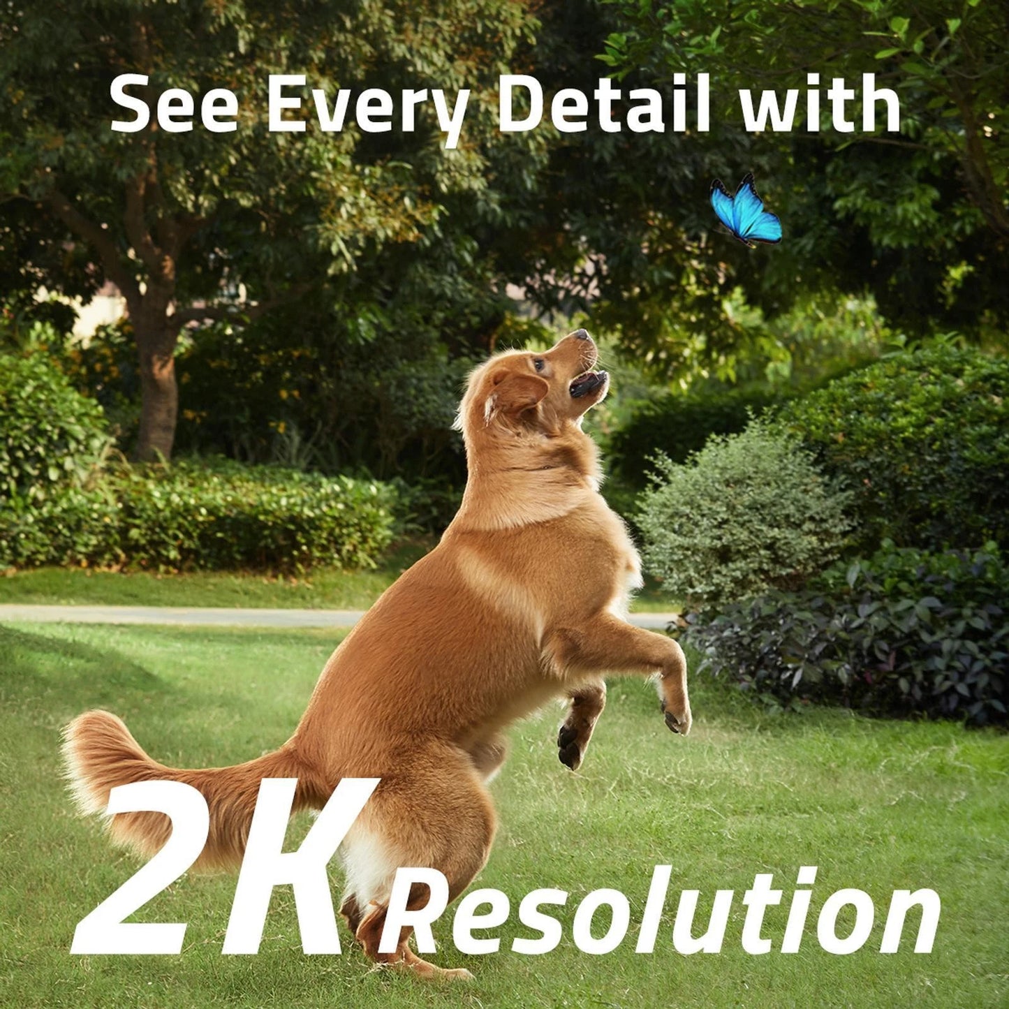 Eufy 2K Solar Security Spotlight Camera, Wireless, AI Detection, No Fees