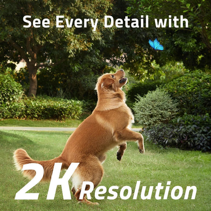 Eufy 2K Solar Security Spotlight Camera, Wireless, AI Detection, No Fees