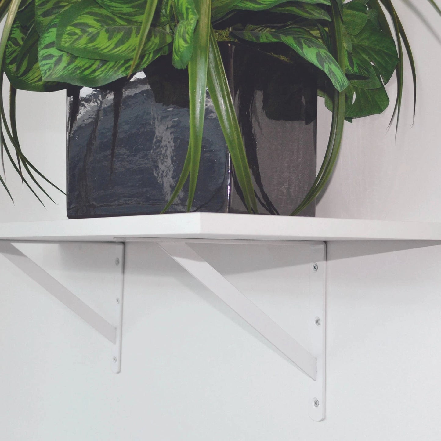 Carinya White Heavy Duty Bracket 200x150mm, 225kg Load, Powder Coated Steel