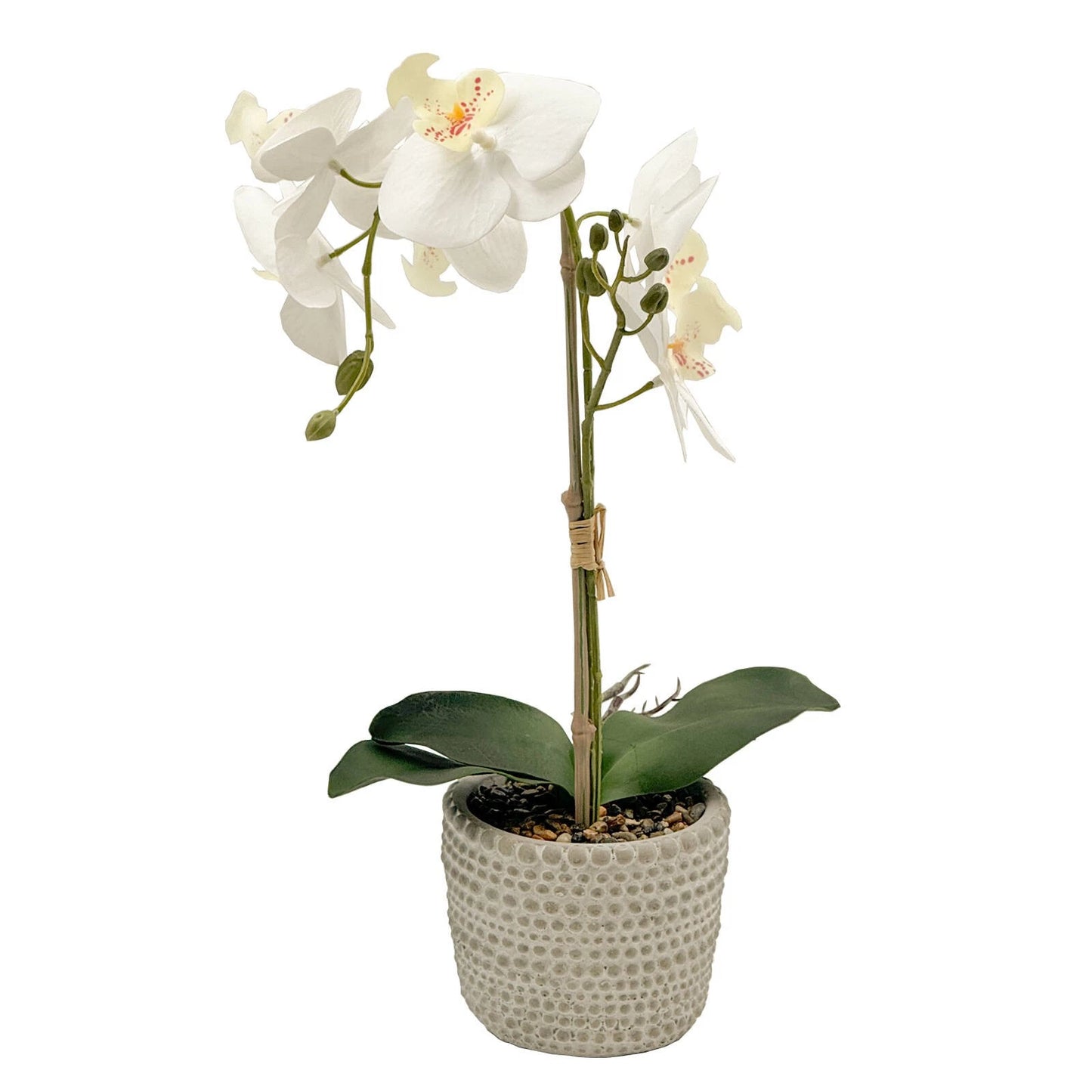 Un-Real 38cm White Artificial Orchid Flowers in Decor Pot - Elegant, Low Maintenance Decor