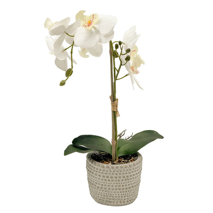 Un-Real 38cm White Artificial Orchid Flowers in Decor Pot - Elegant, Low Maintenance Decor