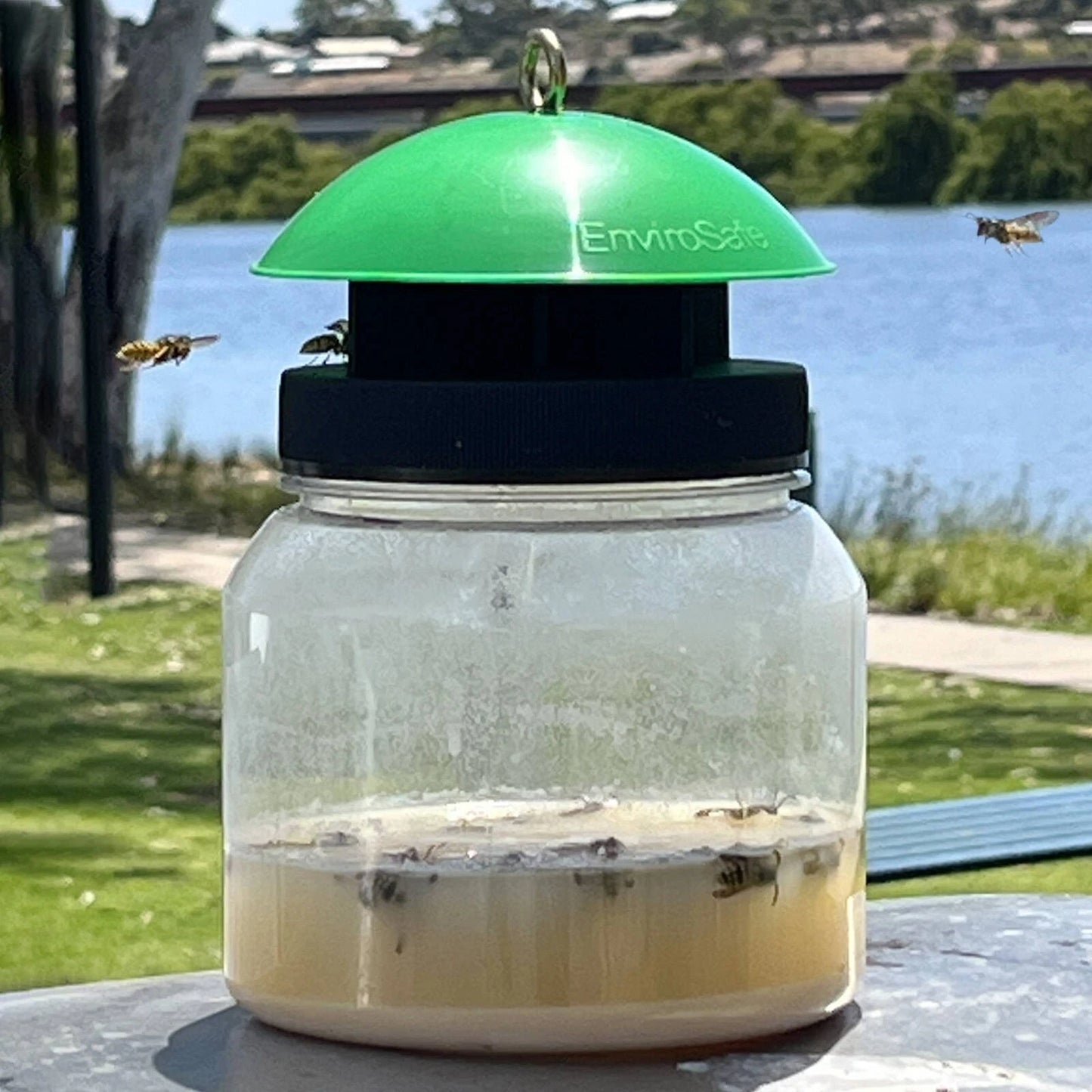 Envirosafe European Wasp Bait Refill 2 Pack - Fast-Acting, Non-Toxic, Outdoor Use