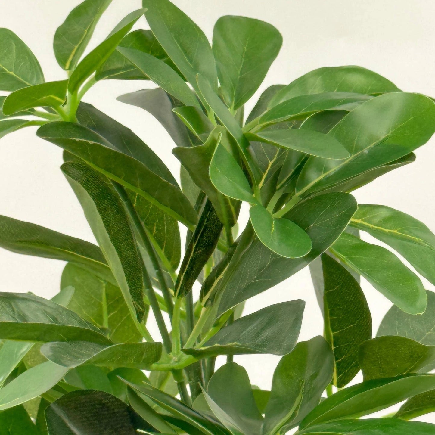 UN-REAL 52cm Artificial Umbrella Tree - Realistic, Maintenance-Free Indoor Decor