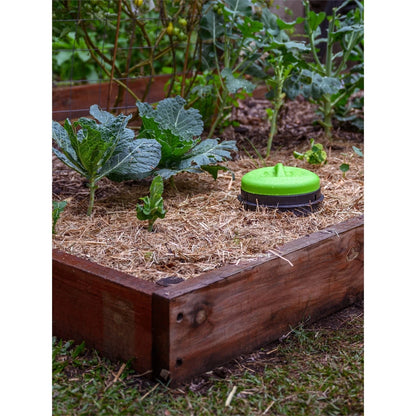 Tumbleweed Worm Buffet In-Ground Worm Farm, 26L, Efficient Waste Recycling, Green