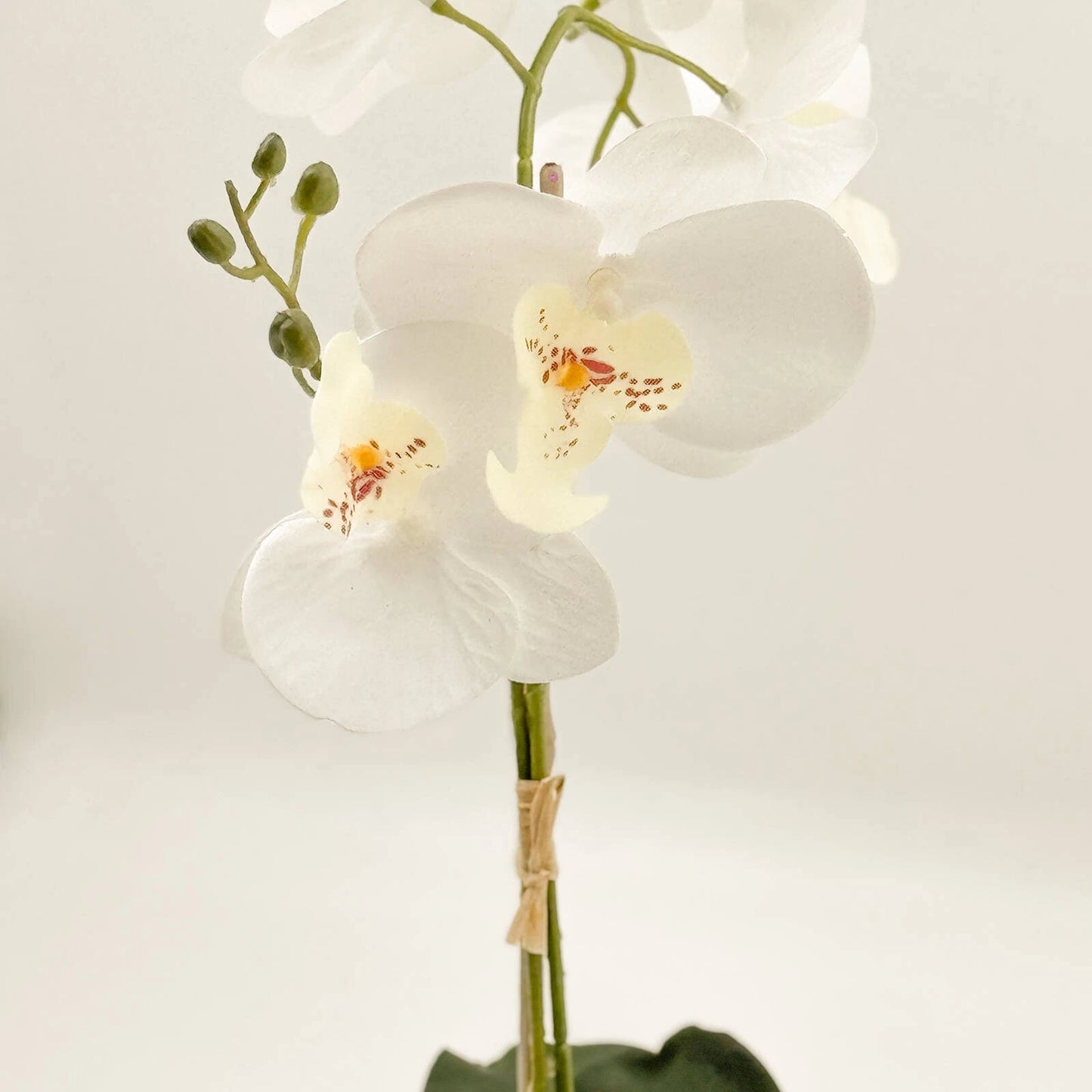 Un-Real 38cm White Artificial Orchid Flowers in Decor Pot - Elegant, Low Maintenance Decor