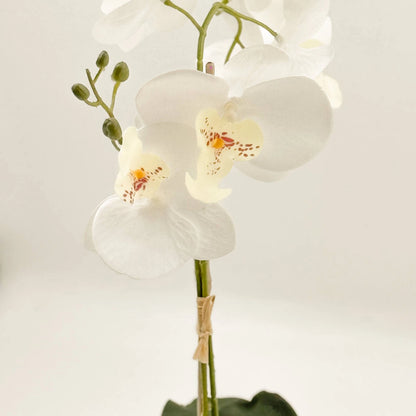 Un-Real 38cm White Artificial Orchid Flowers in Decor Pot - Elegant, Low Maintenance Decor