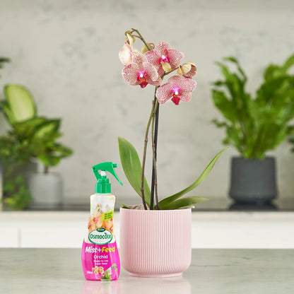 Scotts Osmocote Orchid Mist+Feed 236ml - Fast-Absorbing, Nutrient-Rich, Easy Spray