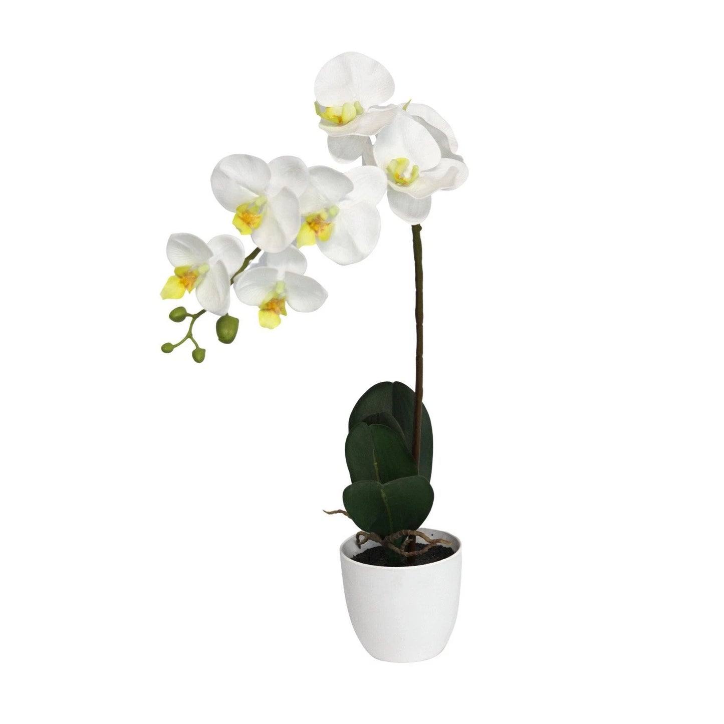 Bunnings 55cm White Orchid Artificial Plant - Realistic, Maintenance-Free Indoor Decor