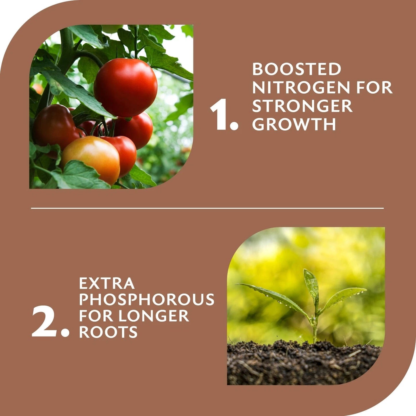 Yates 3kg Dynamic Lifter Plant Food Pellets for Tomatoes, Vegies & Herbs - Fast-Acting, Long-Lasting Fertilizer