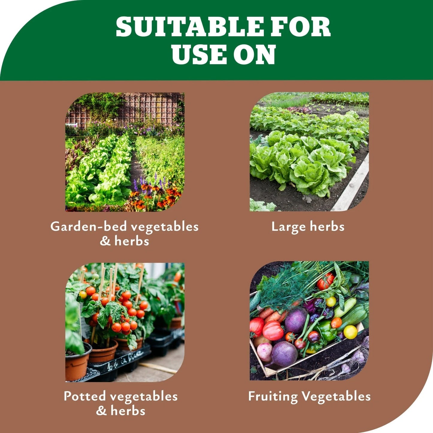 Yates 3kg Dynamic Lifter Plant Food Pellets for Tomatoes, Vegies & Herbs - Fast-Acting, Long-Lasting Fertilizer