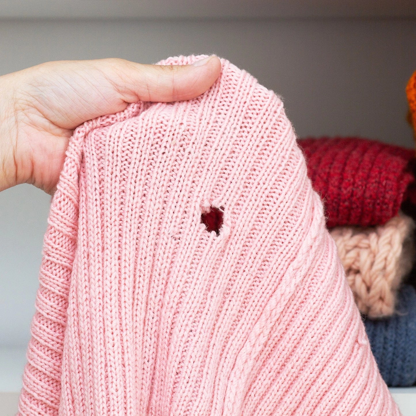 EnviroSafe Clothes Moth Trap, Pesticide-Free, 3-Month Pheromone Lure, Large Area Coverage