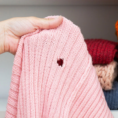 EnviroSafe Clothes Moth Trap, Pesticide-Free, 3-Month Pheromone Lure, Large Area Coverage