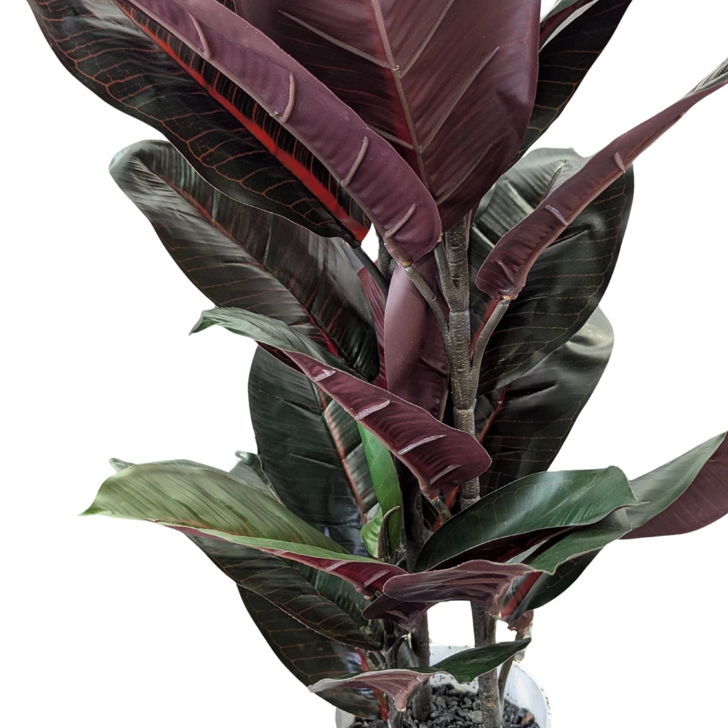 UN-REAL 67cm Artificial Burgundy Rubber Plant - Indoor, Low Maintenance, Realistic Foliage